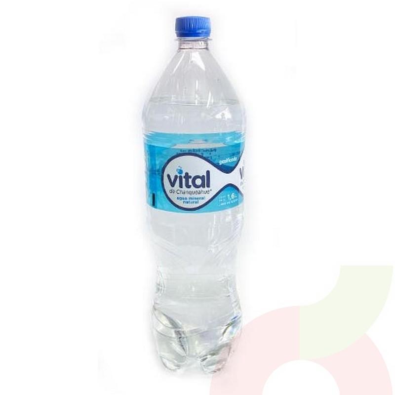 Agua Mineral Vital 600cc Cg Supermercados Eltit 7537